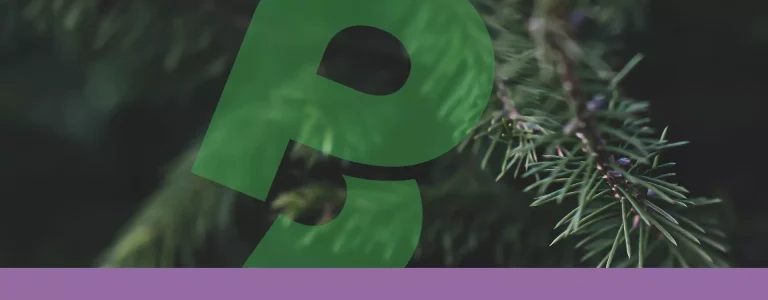 FiberLean to attend Pulp & Beyond 2026