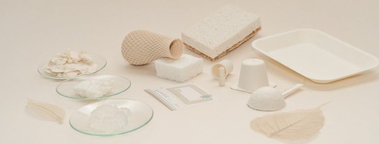 cellulose-international-summit